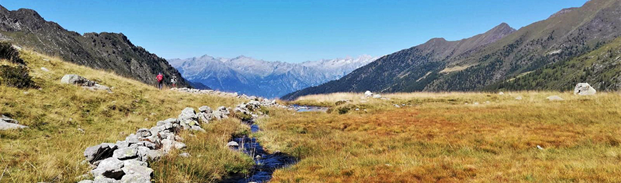 Dal Lago Piccolo il torrentello emissario scende nella Valle Lunga di Tartano